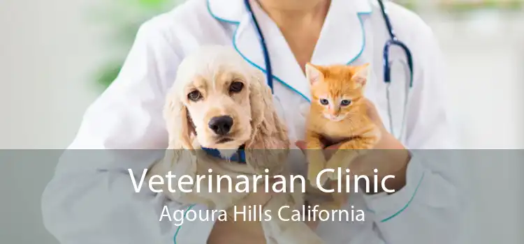 Veterinarian Clinic Agoura Hills California