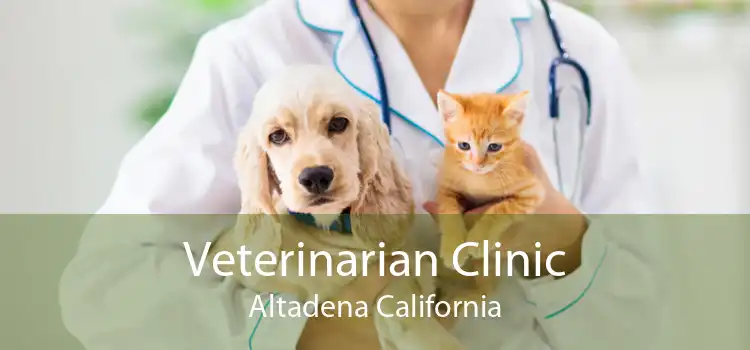 Veterinarian Clinic Altadena California