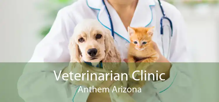 Veterinarian Clinic Anthem Arizona