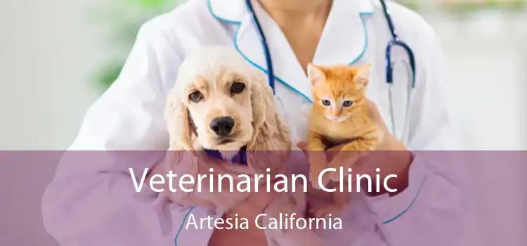 Veterinarian Clinic Artesia California