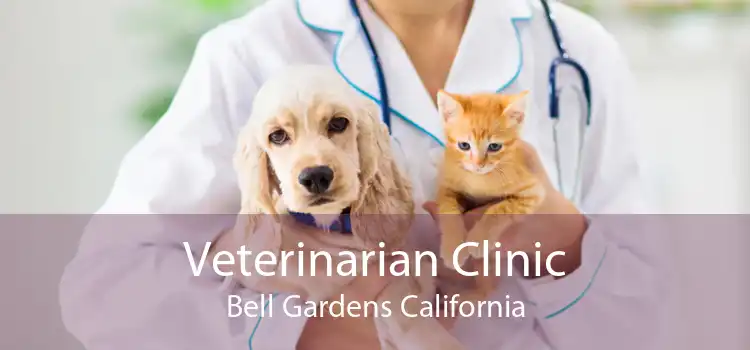 Veterinarian Clinic Bell Gardens California