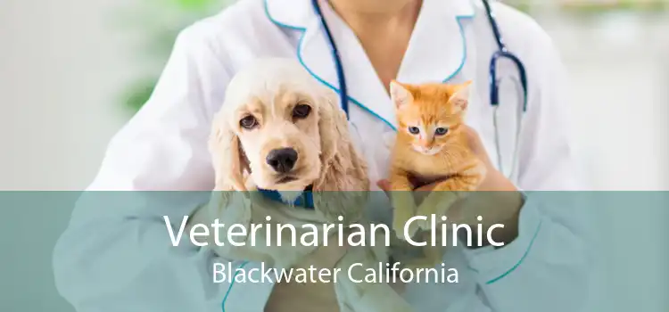 Veterinarian Clinic Blackwater California