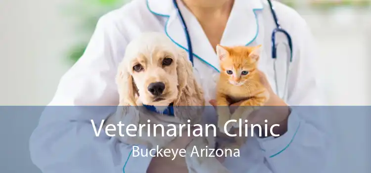 Veterinarian Clinic Buckeye Arizona