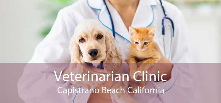 Veterinarian Clinic Capistrano Beach California