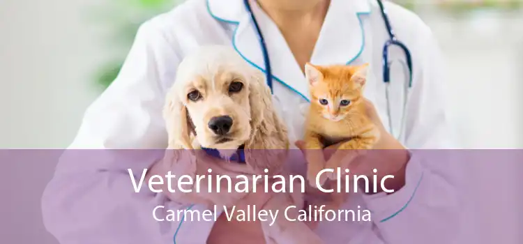 Veterinarian Clinic Carmel Valley California