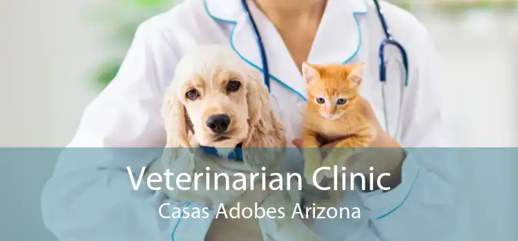 Veterinarian Clinic Casas Adobes Arizona