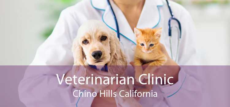 Veterinarian Clinic Chino Hills California