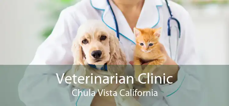 Veterinarian Clinic Chula Vista California