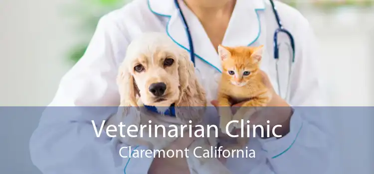 Veterinarian Clinic Claremont California