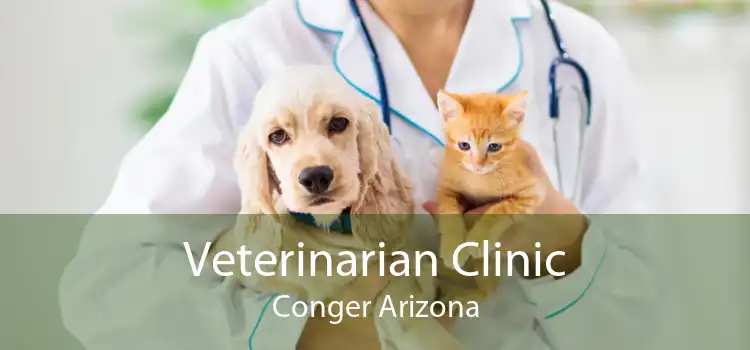 Veterinarian Clinic Conger Arizona