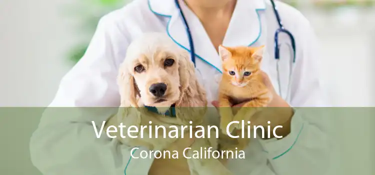 Veterinarian Clinic Corona California
