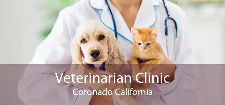 Veterinarian Clinic Coronado California