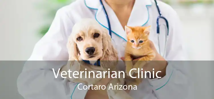 Veterinarian Clinic Cortaro Arizona