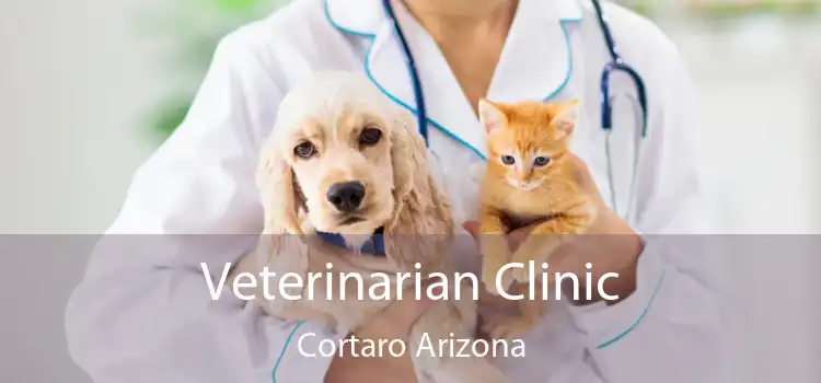 Veterinarian Clinic Cortaro Arizona