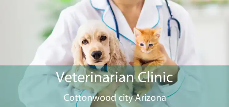 Veterinarian Clinic Cottonwood city Arizona