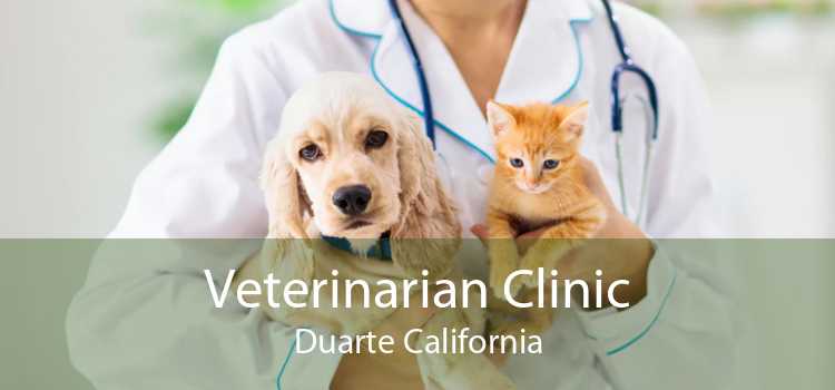 Veterinarian Clinic Duarte California