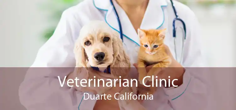 Veterinarian Clinic Duarte California