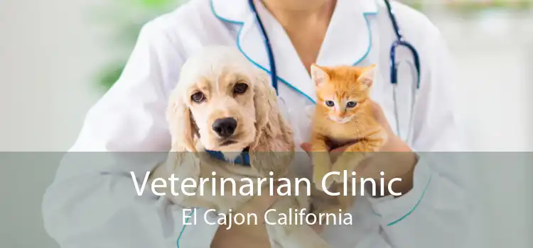 Veterinarian Clinic El Cajon California