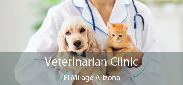 Veterinarian Clinic El Mirage Arizona