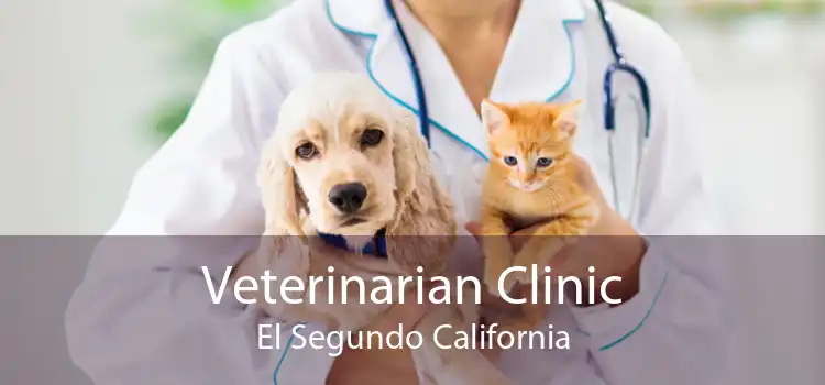 Veterinarian Clinic El Segundo California