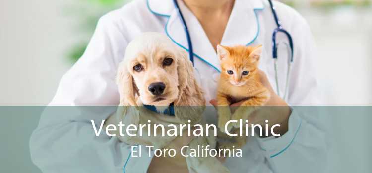 Veterinarian Clinic El Toro California