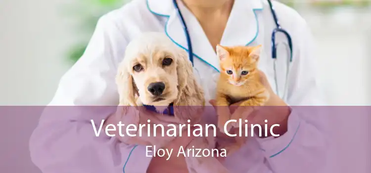 Veterinarian Clinic Eloy Arizona
