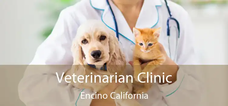 Veterinarian Clinic Encino California