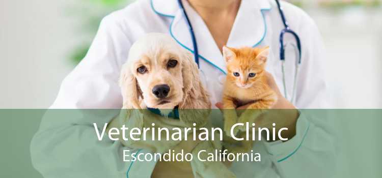 Veterinarian Clinic Escondido California