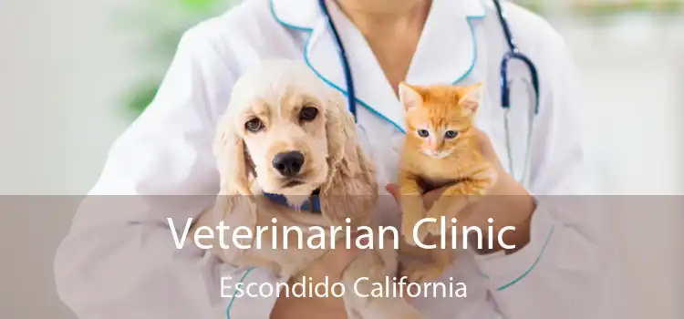 Veterinarian Clinic Escondido California