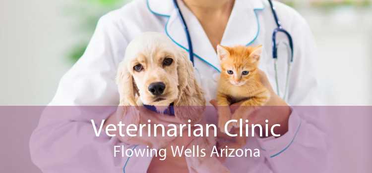 Veterinarian Clinic Flowing Wells Arizona