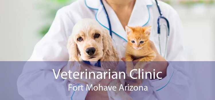 Veterinarian Clinic Fort Mohave Arizona