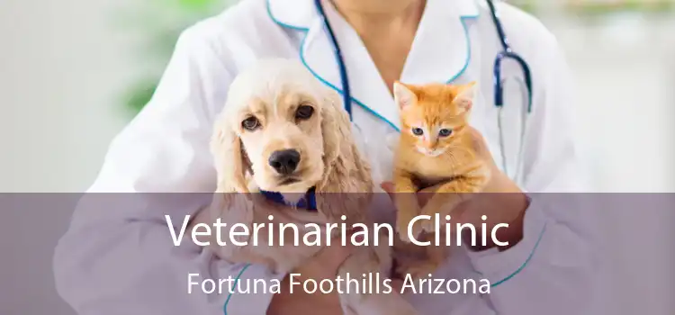 Veterinarian Clinic Fortuna Foothills Arizona