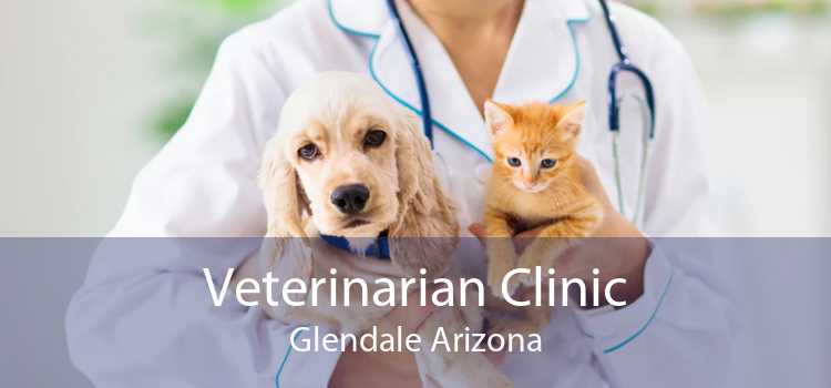 Veterinarian Clinic Glendale Arizona