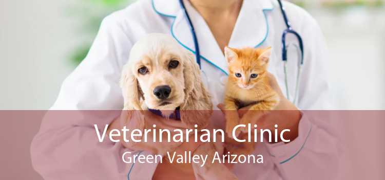 Veterinarian Clinic Green Valley Arizona
