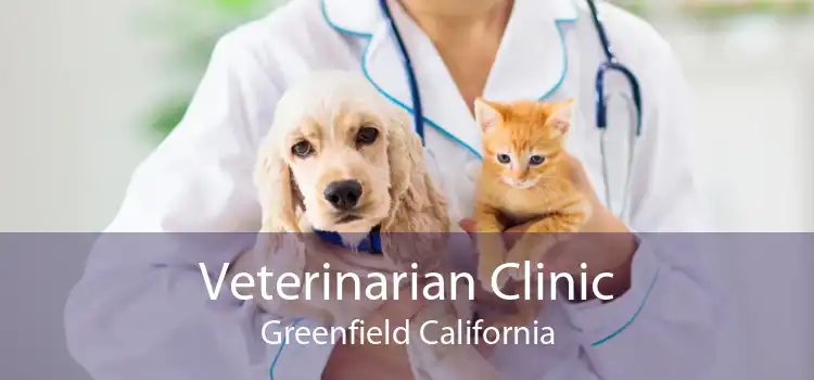 Veterinarian Clinic Greenfield California