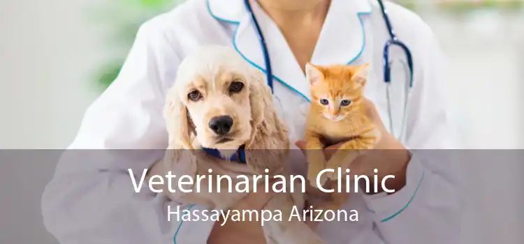 Veterinarian Clinic Hassayampa Arizona