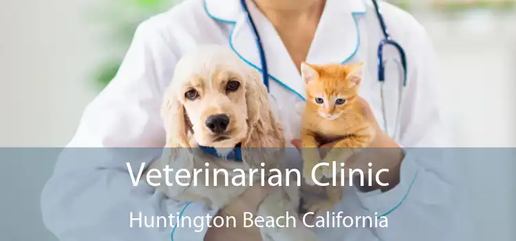 Veterinarian Clinic Huntington Beach California