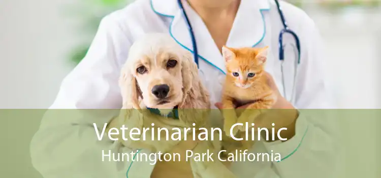 Veterinarian Clinic Huntington Park California