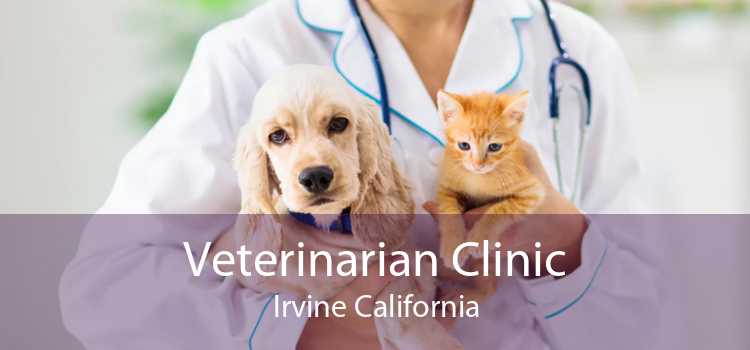 Veterinarian Clinic Irvine California