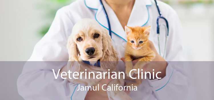 Veterinarian Clinic Jamul California