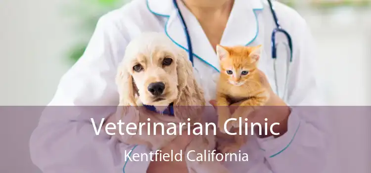 Veterinarian Clinic Kentfield California