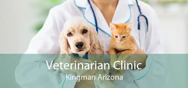 Veterinarian Clinic Kingman Arizona