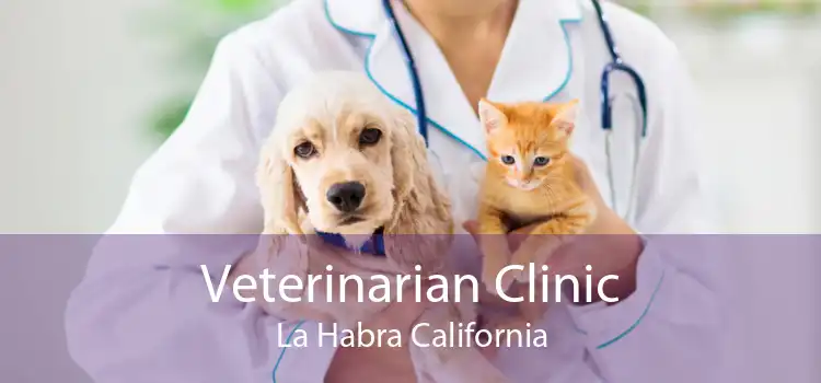 Veterinarian Clinic La Habra California