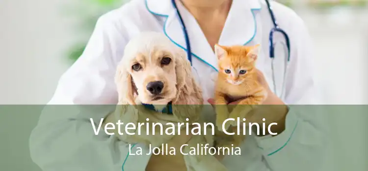 Veterinarian Clinic La Jolla California