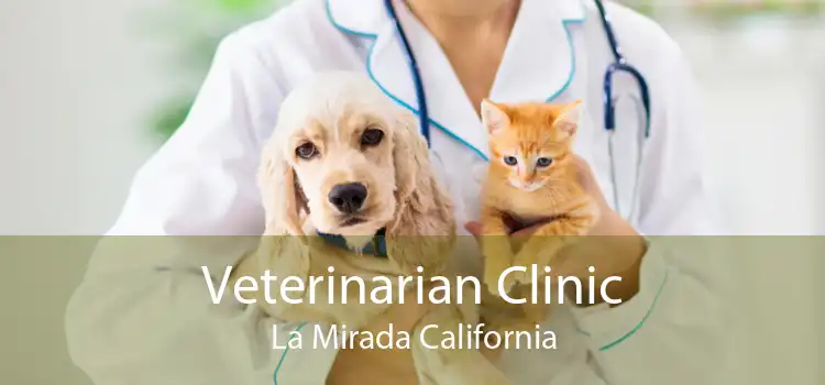 Veterinarian Clinic La Mirada California