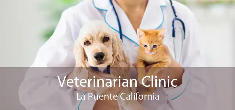 Veterinarian Clinic La Puente California