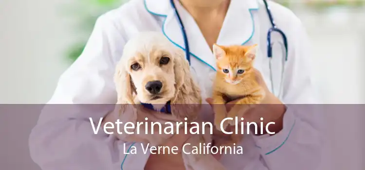 Veterinarian Clinic La Verne California