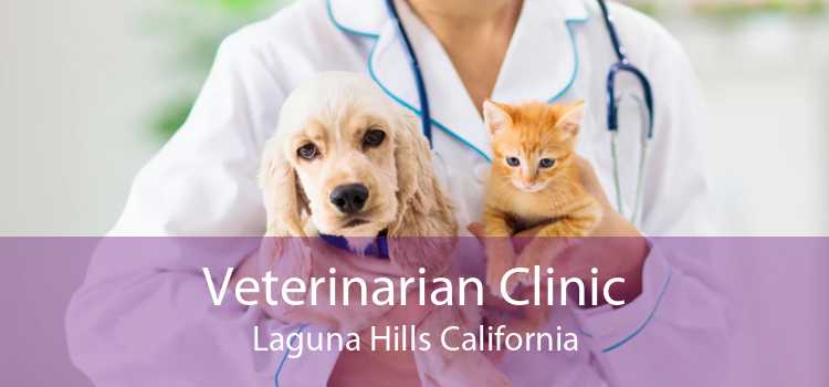 Veterinarian Clinic Laguna Hills California