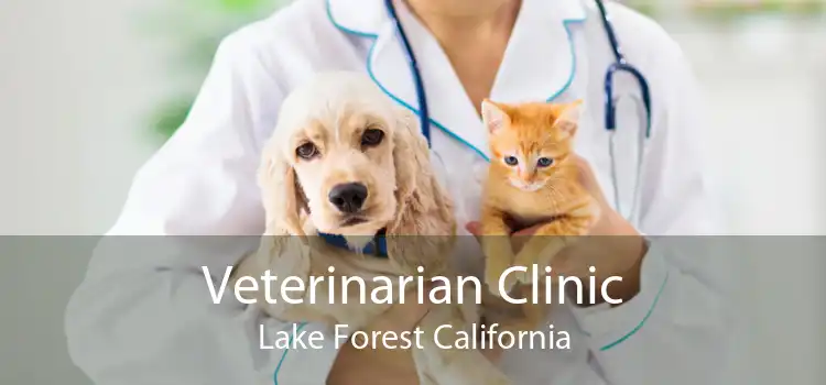 Veterinarian Clinic Lake Forest California