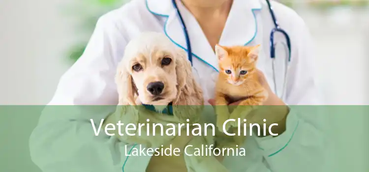Veterinarian Clinic Lakeside California